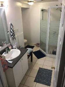 Mavis/Eglinton: One Bedroom new Basement available Sept 1st. - Photo 3