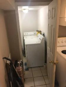 Mavis/Eglinton: One Bedroom new Basement available Sept 1st. - Photo 6