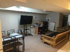 Mavis/Eglinton: One Bedroom new Basement available Sept 1st. - Photo 8