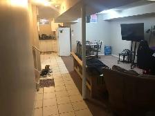 Mavis/Eglinton: One Bedroom new Basement available Sept 1st. - Photo 10