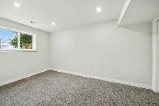 Newly Renovated Home in Eastview. - Photo 12