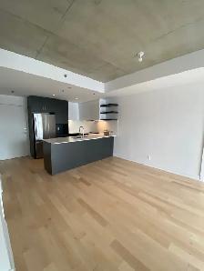 LUXUEUX CONDO 4 1/2 GARAGE LIBRE 1ER SEPTEMBRE - Photo 8