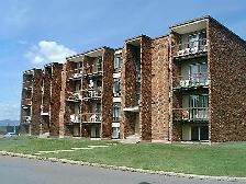 3 1/2  LÉVIS - Photo 2