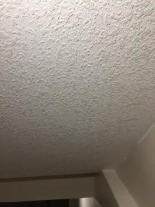 TEXTURING_Be$t prof CEILING texturing, NEW textured ceilings onl - Photo 7