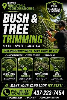 TREE & BUSH TRIMMING