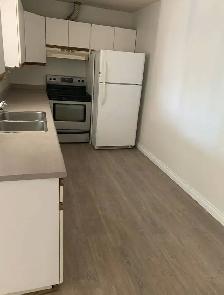 Large 2 bedroom ground level suite available for rent now! - Photo 2