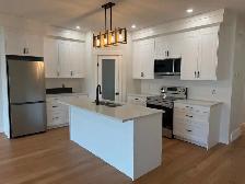 Beautiful Brand New 3-bed Rental House in Sundre $2,200 - Photo 4