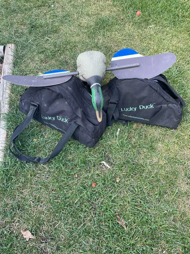 mojo Duck decoy