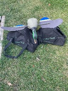 mojo Duck decoy