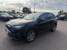 2022 Toyota RAV4 - Photo 3