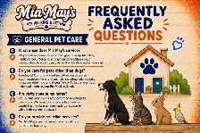 Mia May's Pet Walking & Sitting | Greely • Manotick • Metcalfe - Photo 3