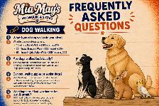 Mia May's Pet Walking & Sitting | Greely • Manotick • Metcalfe - Photo 4
