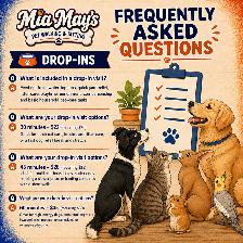 Mia May's Pet Walking & Sitting | Greely • Manotick • Metcalfe - Photo 5