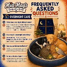 Mia May's Pet Walking & Sitting | Greely • Manotick • Metcalfe - Photo 6