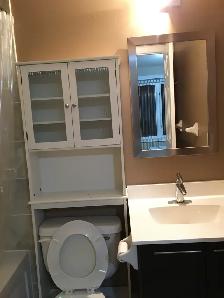 Large Furnished Master Bedroom with Private Ensuite Washroom - Photo 6