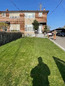 Cozy apartment for rent at Eglinton/caledonia area