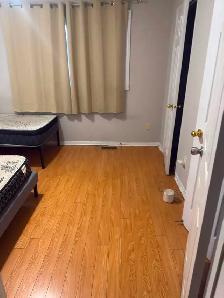 Room for rent in Mississauga - Photo 4