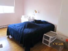 Grand 4 ½, 1465 Rue Beaumont,Longueuil, 1 septembre. 2026 - Photo 6