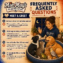 In-Home Pet Sitting and Drop-Ins | Greely • Manotick • Metcalfe - Photo 6