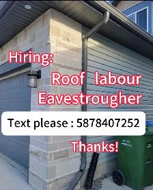looking for roof labours and eavestrougher