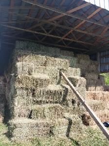 2026 Small Square Grass Bales For Sale