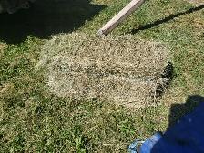2026 Small Square Grass Bales For Sale - Photo 2