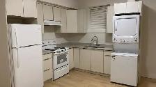 2B/1B BASEMENT FOR RENT