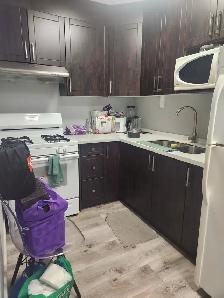 Finished BSMT Rooms for Male - Lawrence/Bathgate - Available NOW - Photo 4