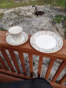 Noritake Meadow Ivory China Cup and Saucer Set - Photo 2
