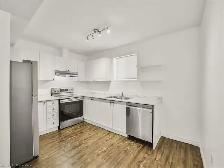 lower level unit for rent - Photo 3