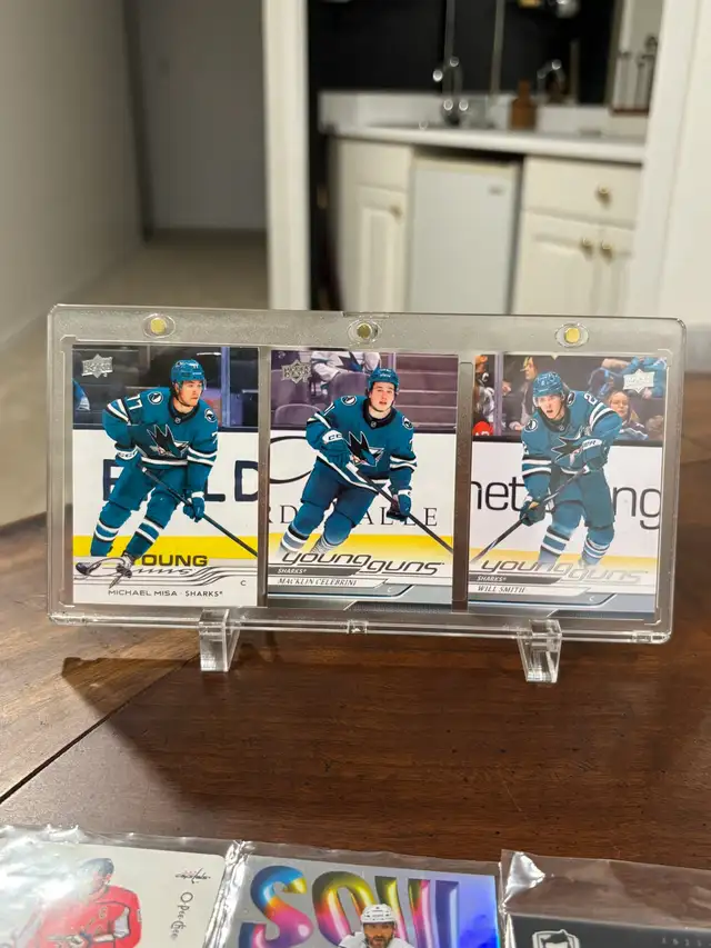 Sharks Young Guns