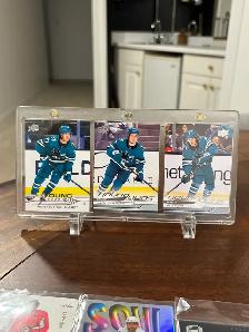 Sharks Young Guns