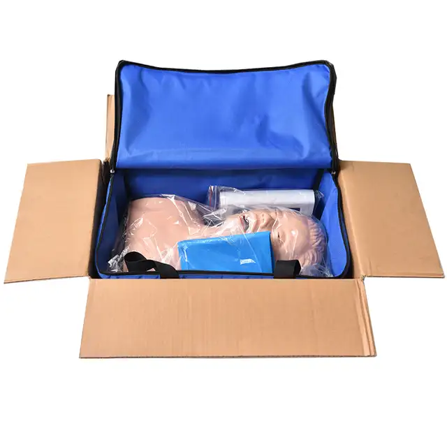 Airway Management Manikin Simulators Care Training Model 220090