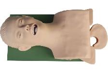 Airway Management Manikin Simulators Care Training Model 220090 - Photo 2