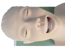 Airway Management Manikin Simulators Care Training Model 220090 - Photo 4
