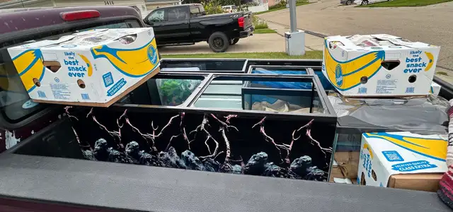 aquariums, accessories, cabinets