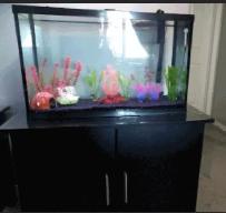 aquariums, accessories, cabinets - Photo 10