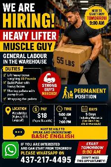 cash job heavy lifter Vaughan