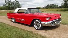 1959 Ford Tbird ( 430ci)