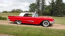 1959 Ford Tbird ( 430ci) - Photo 9