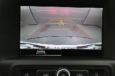 2024 GMC Terrain SLE - Call 902-466-9550 Apple Carplay/Android A - Photo 7