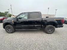 2024 Ford F-150 Tremor 4WD SuperCrew 5.5' Box - Photo 6