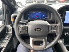 2024 Ford F-150 Tremor 4WD SuperCrew 5.5' Box - Photo 21