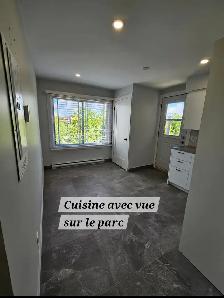 Rénové 4 et demi, Montréal (Centre-Sud), à 10 minutes du Métro P - Photo 4