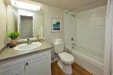 1 Bdrm. Apt. for Rent in North St. Catharines - Lake & Arran Dr. - Photo 7