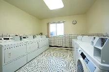 1 Bdrm. Apt. for Rent in North St. Catharines - Lake & Arran Dr. - Photo 9