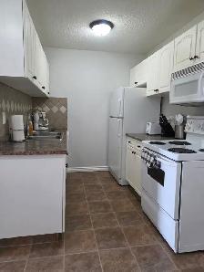1 Bed / 1 Bath Fully Furnished Townhomes – 2 Units Coming Soon! - Photo 3