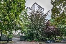 Studio Apartment for Rent - 1255 Pendrell Street - Photo 2