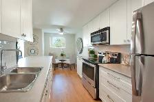 1 Bedroom Apartment for Rent in Niagara Falls! - Photo 3