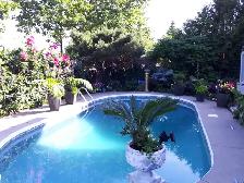 Queensize  new private clean room in exe home \traf upper middle - Photo 6